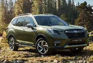 ¿Cómo elegir el auto adecuado? Consejos claves