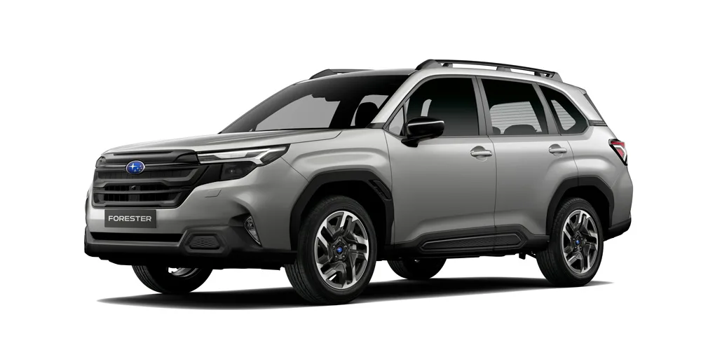2.5 AWD CVT DYNAMIC ES - Gris Piedra Perlado Exterior