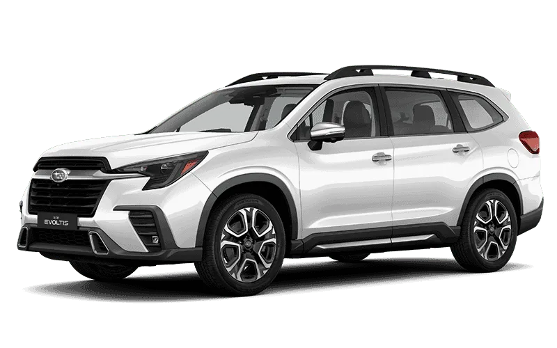 EVOLTIS LIMITED GARDX - Blanco Cristal Perlado Exterior