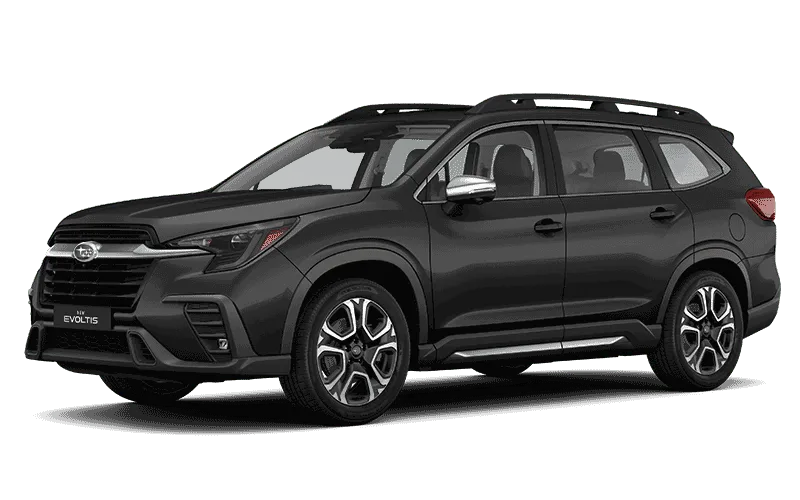 EVOLTIS LIMITED GARDX - Negro Cristal Silica Exterior