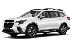 EVOLTIS LIMITED GARDX