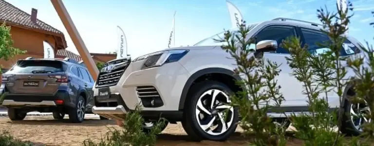 Todos juntos en torno a la naturaleza - Subaru Outdoor Life