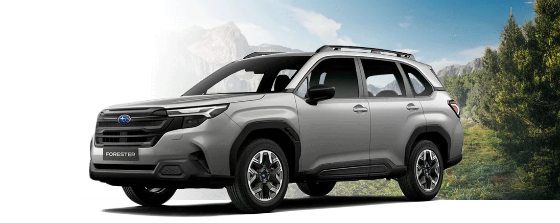 Forester - Gris Piedra Perlado