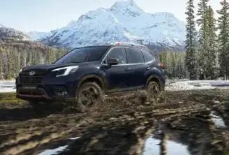 ¿Cuál es el mejor auto para caminos rurales?