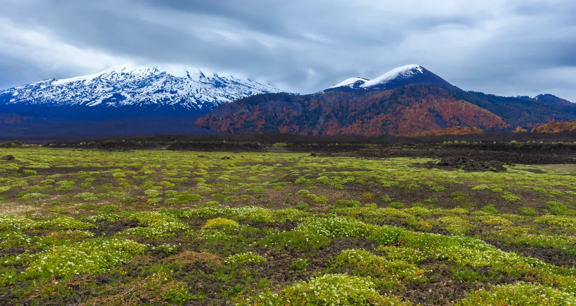 Parque Nacional Conguillío