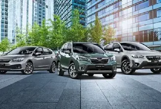 Line Up en Subaru