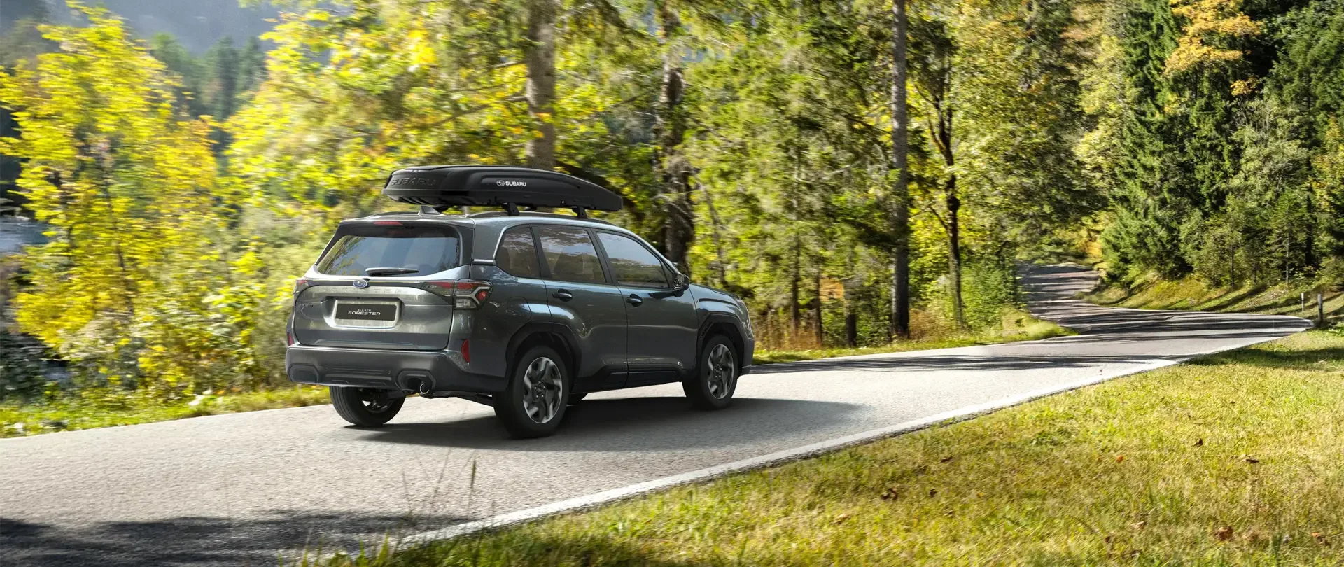 VISITA SUBARU STORE