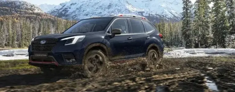 ¿Cuál es el mejor auto para caminos rurales?
