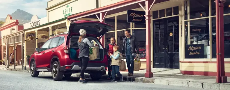 Todo lo que debes saber para viajar en auto a Argentina
