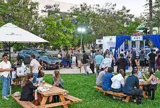 Subaru auto oficial del Festival de Cine Wiken